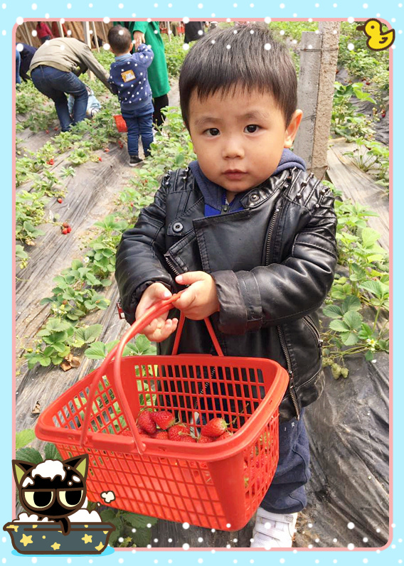 NYC紐約國際邯鄲早教中心植樹節(jié)活動
