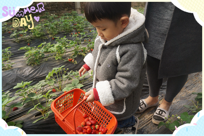 NYC紐約國際邯鄲早教中心植樹節(jié)活動