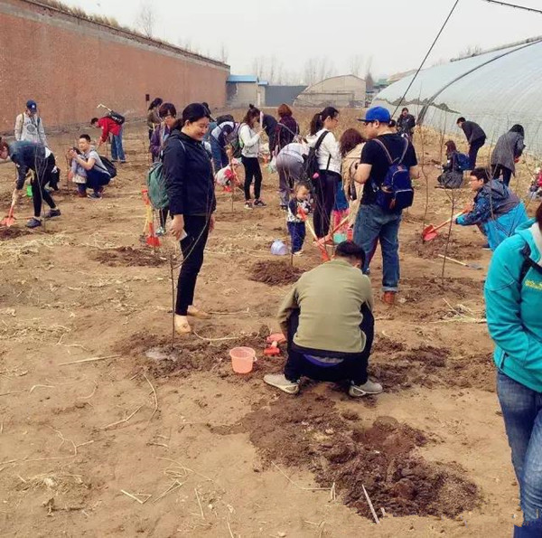 NYC紐約國際天津熙悅匯購物中心：【精彩回顧】”不負(fù)春光不負(fù)你”—NYC植樹行