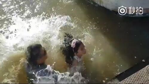 女孩被海獅叼下水,小心動(dòng)物傷人