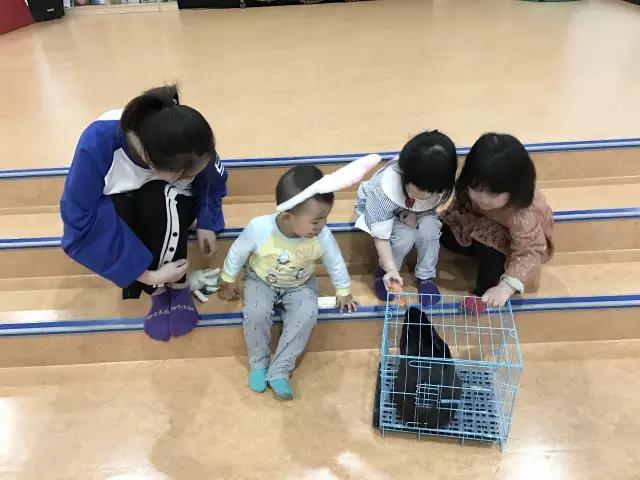 NYC紐約國(guó)際山東濰坊萬(wàn)達(dá)中心_【活動(dòng)回顧】復(fù)活節(jié)奇妙夜！