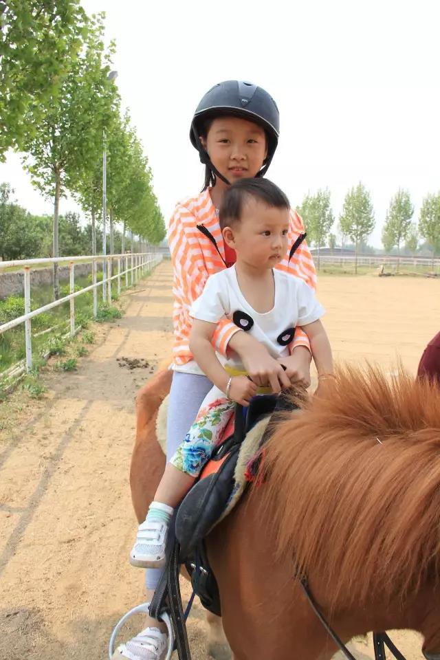 帥帥的馬兒，我們交個朋友吧