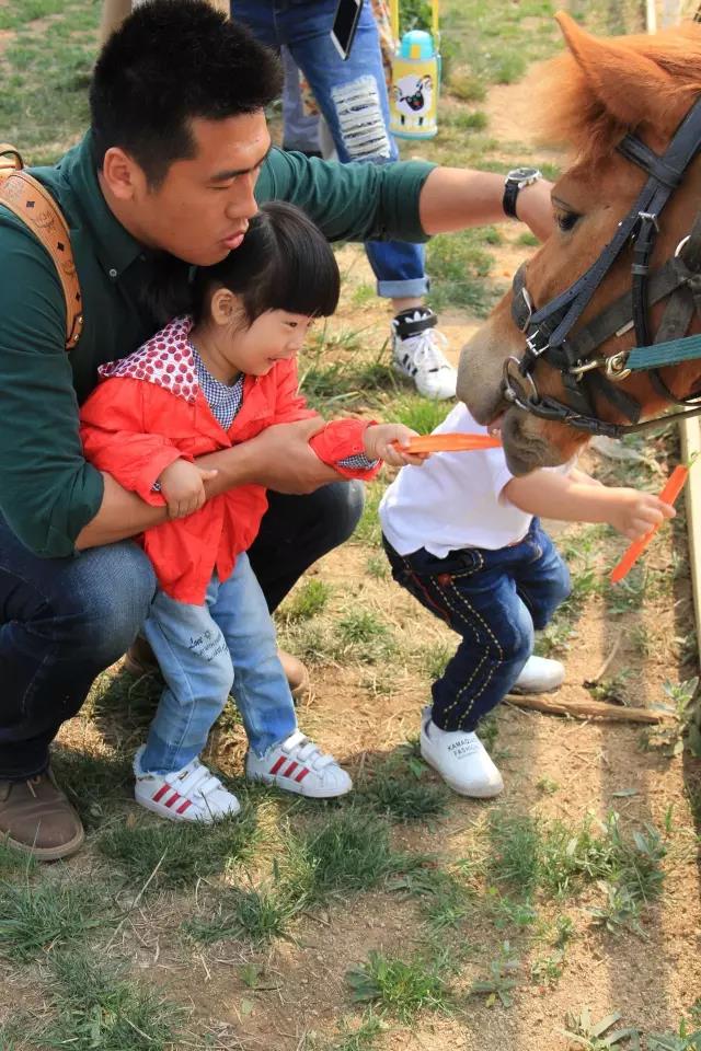 帥帥的馬兒，我們交個朋友吧