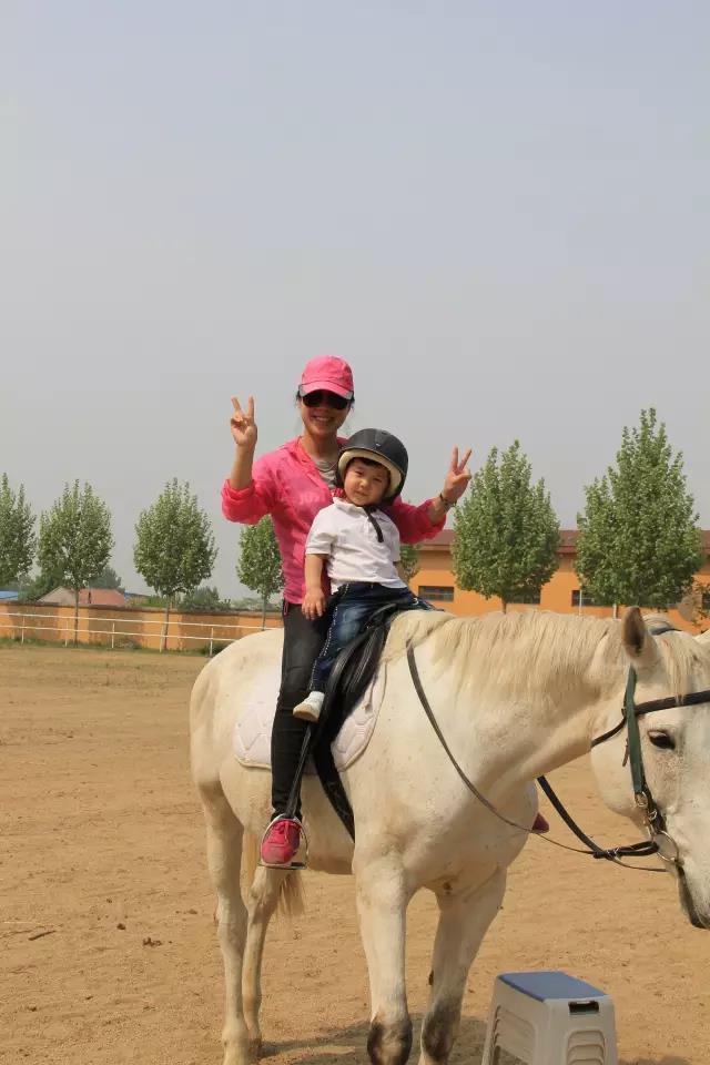 帥帥的馬兒，我們交個朋友吧