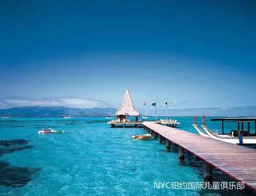 NYC紐約國際浙江余姚萬達(dá)中心：6月21日-6月25日【音樂課預(yù)告】快來夏威夷度假~~~