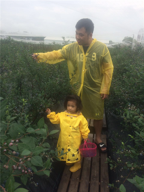 NYC紐約國際上海仲盛中心：繽紛水果采摘之采藍莓活動回顧