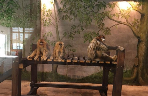 NYC紐約國(guó)際天津熙悅匯中心：【精彩回顧】“熱”血沸騰騎行之旅