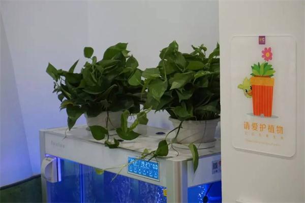NYC遠(yuǎn)洋樂(lè)堤港早教中心