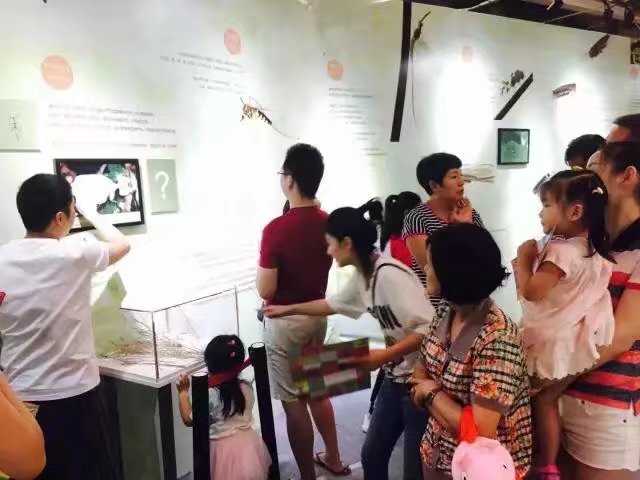 NYC紐約國際深圳寶能太古城中心：活動(dòng)回顧 | 蝶舞飛揚(yáng)科普館，你和蝴蝶打招呼了嗎