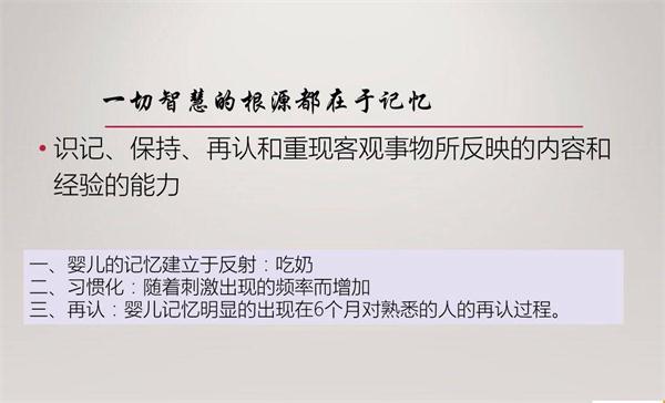 NYC紐約國際早教微課回顧：寶寶的記憶力需要被保護(hù)