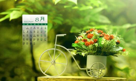 NYC紐約國際大慶早教中心8月清涼一夏活動預(yù)告