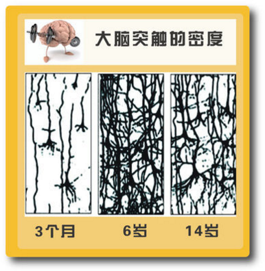 山東淄博早教中心