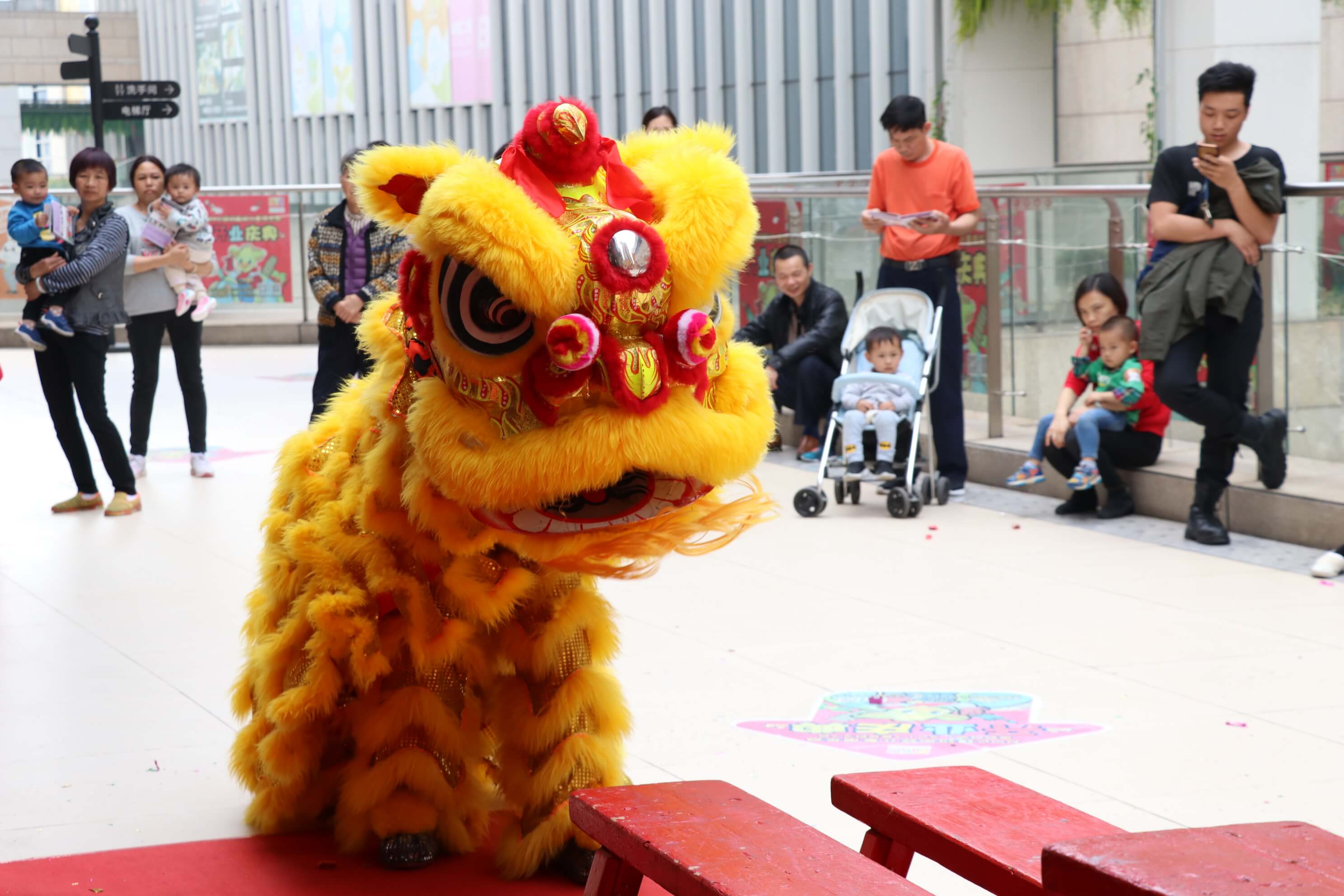 NYC紐約國際佛山早教中心：【活動(dòng)回顧】醒獅賀歲鬧新春