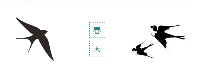 NYC紐約國際湖州梅地亞早教中心：3月精彩活動預(yù)告