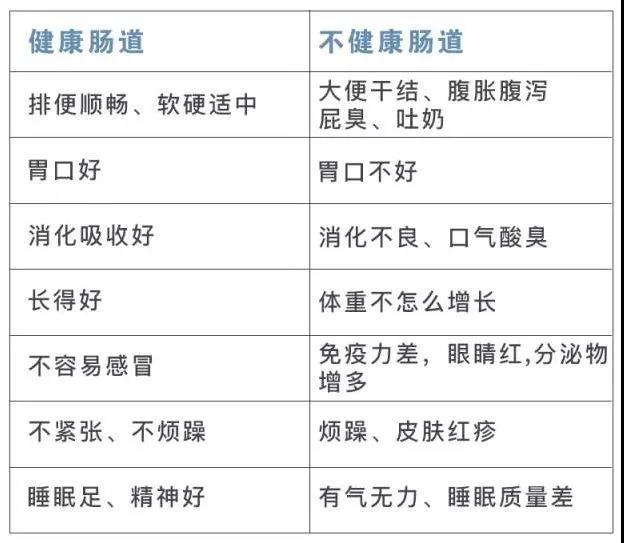 NYC紐約國(guó)際太陽(yáng)宮早教中心：這是一個(gè)“有味道”的寶寶健康小知識(shí)科普~