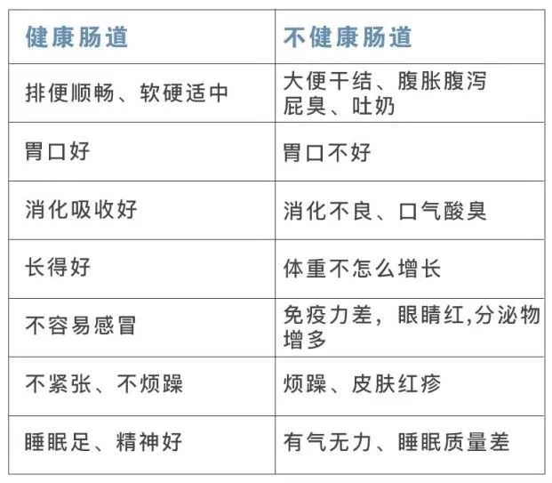 天津河?xùn)|早教中心