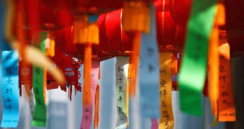 NYC紐約國際平谷早教中心：NYC元宵佳節(jié)鬧元宵 預(yù)告