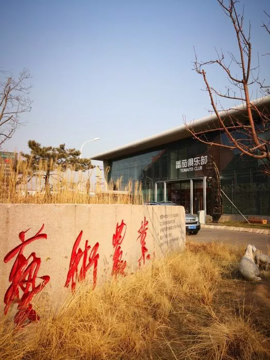 NYC紐約國(guó)際北京通州早教中心