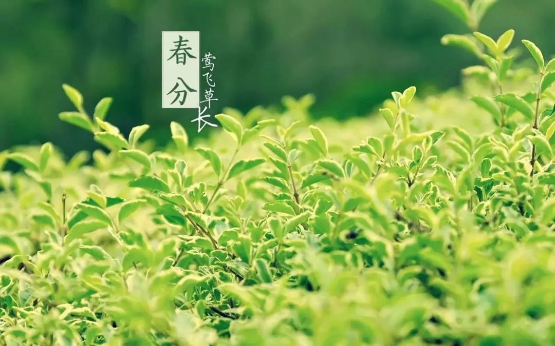 杭州早教中心,杭州兒童,NYC,紐約國(guó)際兒童俱樂(lè)部,杭州濱江早教中心