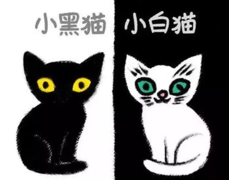 五月，送你充滿愛意的會員活動