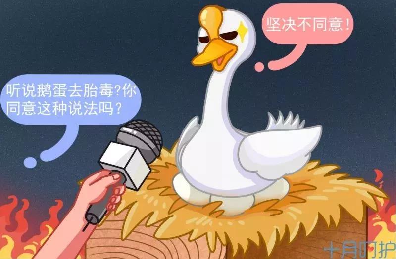 桐鄉(xiāng)紐約國(guó)際早教中心