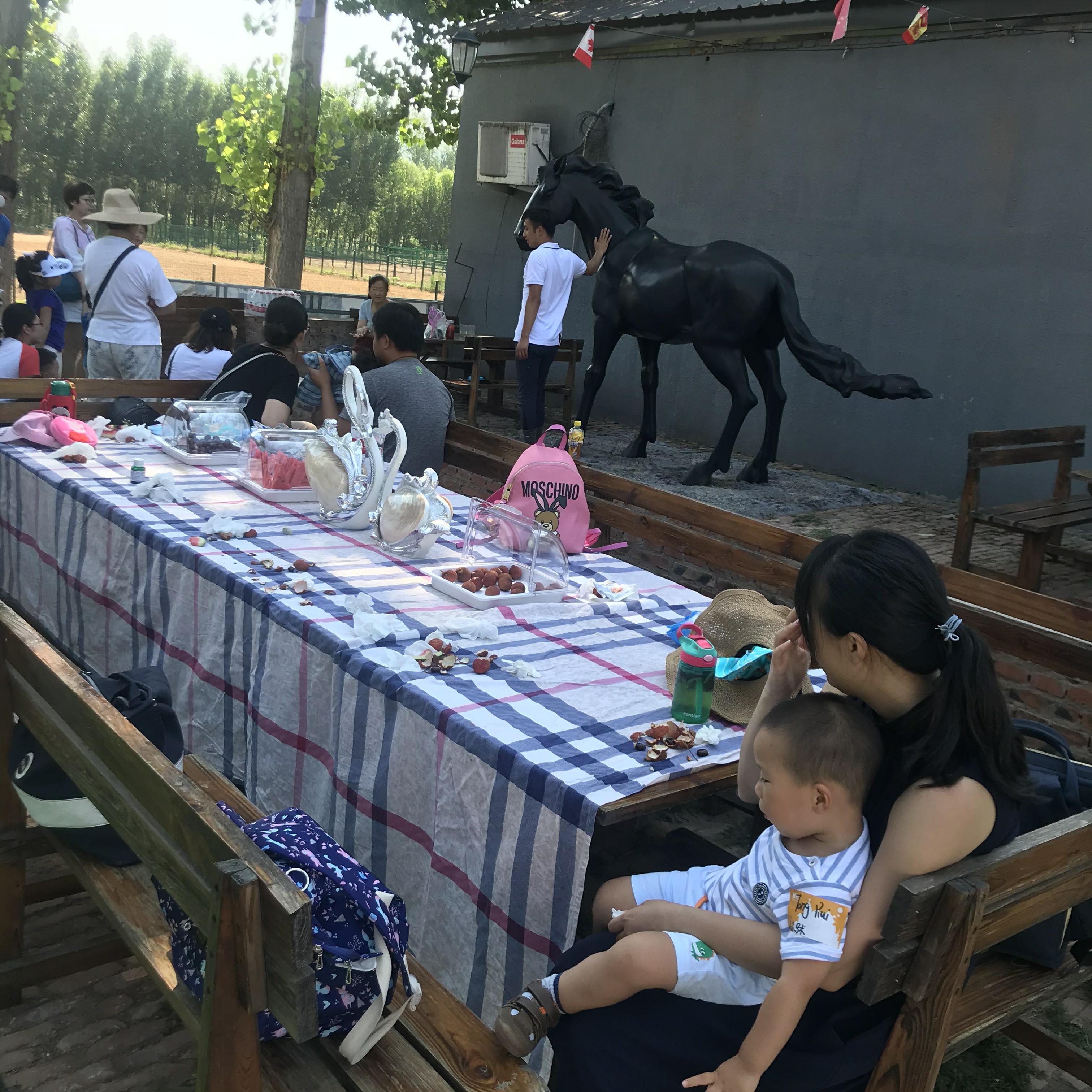 NYC紐約國(guó)際兒童俱樂(lè)部平谷早教中心：火爆活動(dòng)之《小小馬術(shù)師》活動(dòng)回顧