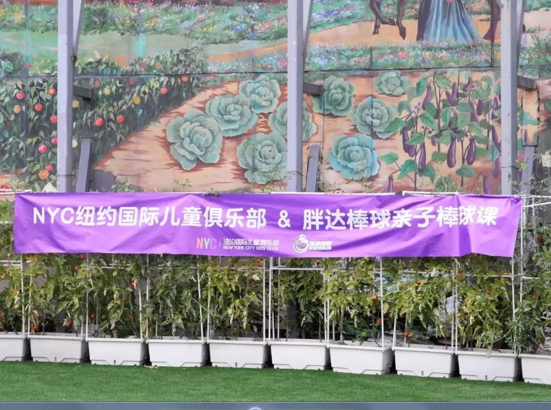 成都早教