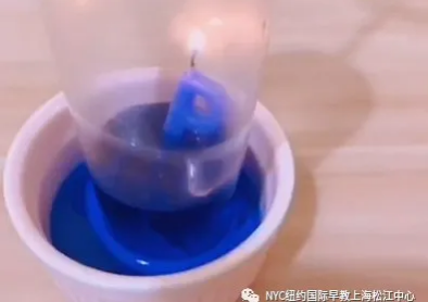 NYC,紐約國際,上海早教,上海松江中心,早教中心