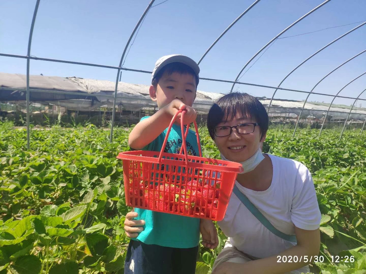 NYC紐約國際烏魯木齊萬達(dá)中心草莓采摘