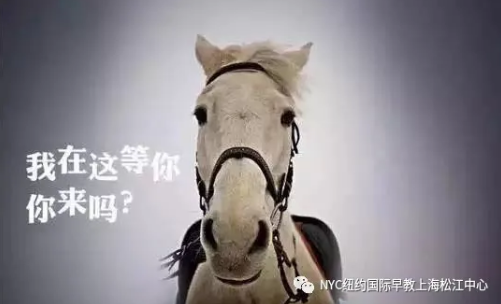 早教中心,松江早教,松江早教中心,NYC,紐約國(guó)際