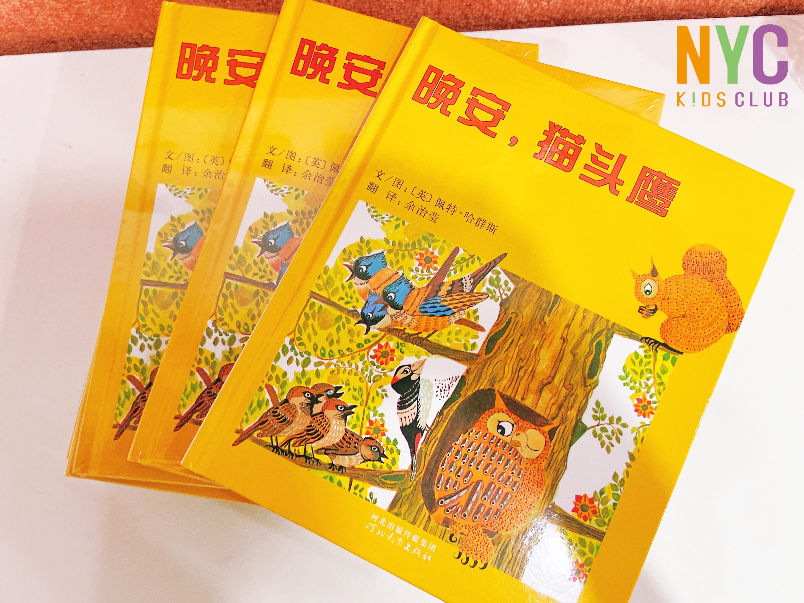 沈陽早教